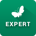 ”MN Experts