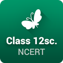 NCERT Solutions for Class 12 APK