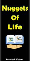 پوستر Nuggets of Life