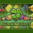 Burning Hot Slot