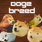 Doge Breed icône
