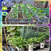 hydroponic planting method