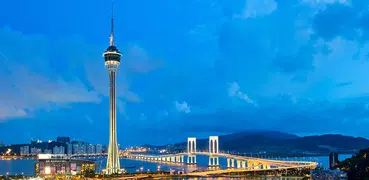 澳門黃頁 Yellow Pages Macau
