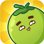 Fruit Drop Master biểu tượng