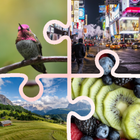 Crazy Puzzles Zeichen