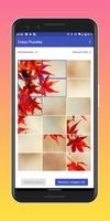 Crazy Puzzles Screenshot 3