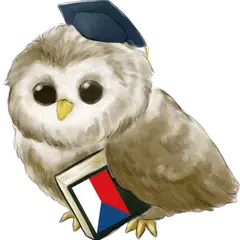 Learn Czech APK download