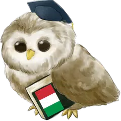 download Learn Italian APK