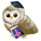 Leer IJslands-icoon