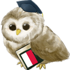Learn Polish icon