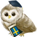 Learn Swedish APK