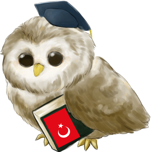 Lernen  Türkisch