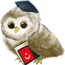 Learn Turkish APK