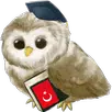 Изучать Турецкий APK