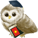 Learn Vietnamese APK