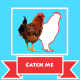 Catching Game - Catch The Chicken 2020 icône