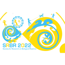 SRBR 2022 APK