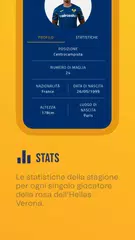 Hellas Verona FC XAPK download