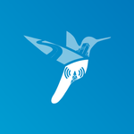 Network Surveyor icon