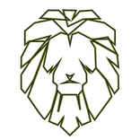 קרטה ושות - ראיית חשבון, ליווי