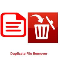 Duplicates Cleaner Cartaz
