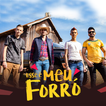 Musica Vou Dançar Meu Forro - 