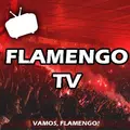 Flamengo TV - Notícias
