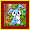 Hop Don't Stop
