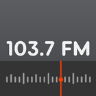 Rádio Amor FM 103.7 icon