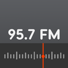 Rádio Itatiaia FM 95.7 아이콘