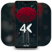 Real 4K Wallpapers APK