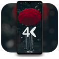 خلفيات 4K حقيقية