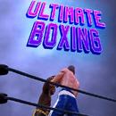 Ultimate Boxing Fight APK