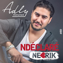 أغاني محمد عدلي Mohamed Adly بدون نت 2020 APK