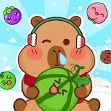 Fruit Drop Game icon