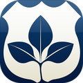MFA Seed Pricing