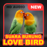 Koleksi Suara Burung Lovebird