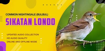 Kicau Burung: Sikatan Londo capture d'écran 1