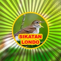 Kicau Burung: Sikatan Londo capture d'écran 2