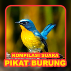 Icona Suara Burung: Pikat & Masteran