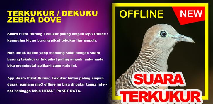 Suara Burung Perkutut For Android Apk Download Download lagu suara burung perkutut mp3 dapat kamu download secara gratis di playlagu. suara burung perkutut for android apk