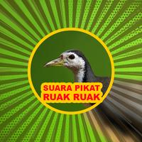 برنامه‌نما Suara Pikat Burung Ruak Ruak عکس از صفحه