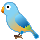 Birds Wallpaper HD - Offline APK