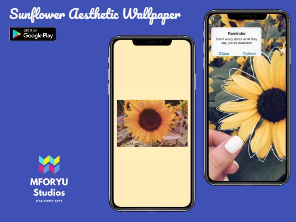 Sunflower Aesthetic Wallpaper - Free APK for Android Download
