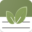 Matcha Notes icon