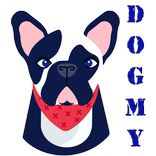 Dog Facts - Dog Names - DogMy