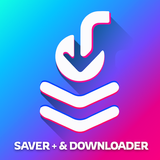Downloader & Story Saver 图标