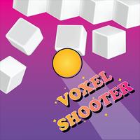 Poster Voxel Shooter Game
