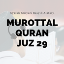 Murottal Quran Juz 29 APK