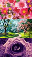 Flower Images ảnh chụp màn hình 3